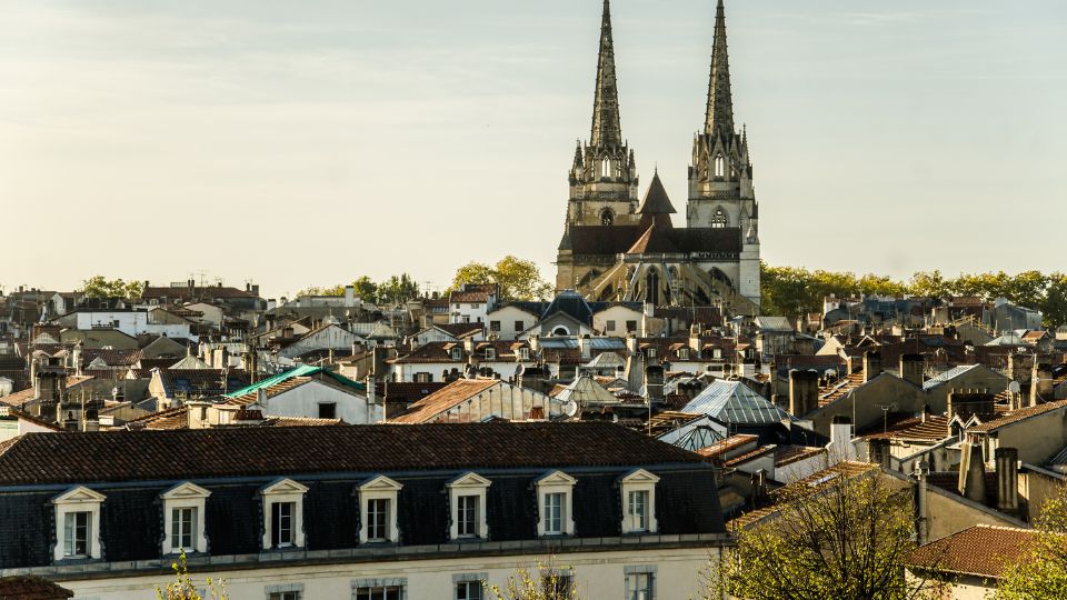 Vue panoramique des toits de Bayonne avec les flèches de la cathédrale Saint-Marie dominant l'horizon sous un ciel légèrement voilé.